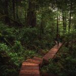Tofino: Hot Springs Cove Tour with Wildlife Cruise - An In-Depth Look at the Experience
