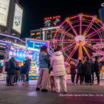 Toronto: Guided City Sightseeing Festive Lights Bus Tour - Final Thoughts