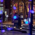 Toronto Holiday Lights Bus Tour - What You Might Not Love
