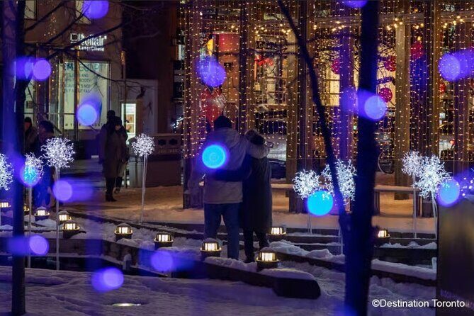 Toronto Holiday Lights Bus Tour - What You Might Not Love