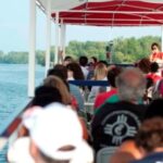 Toronto: Hop-On Hop-Off Bus Tour with Harbour Cruise - Practical Tips for Your Tour