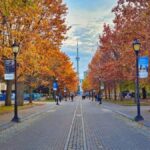 Toronto  Private 2-Hour Photoshoot with a Pro Photographer - What to Expect During the Photoshoot