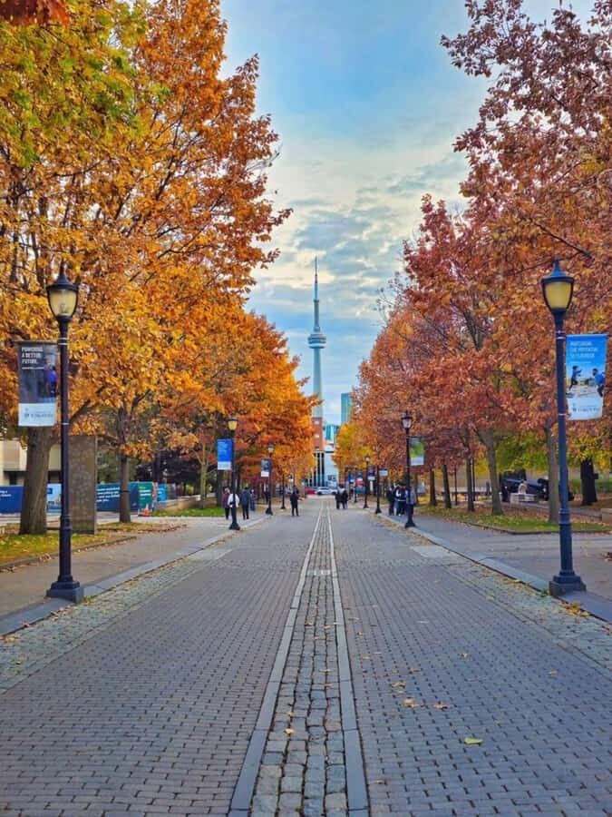 Toronto  Private 2-Hour Photoshoot with a Pro Photographer - What to Expect During the Photoshoot