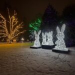 Toronto to Niagara Private Tour in Limousine - The Sum Up: Is It Worth It?