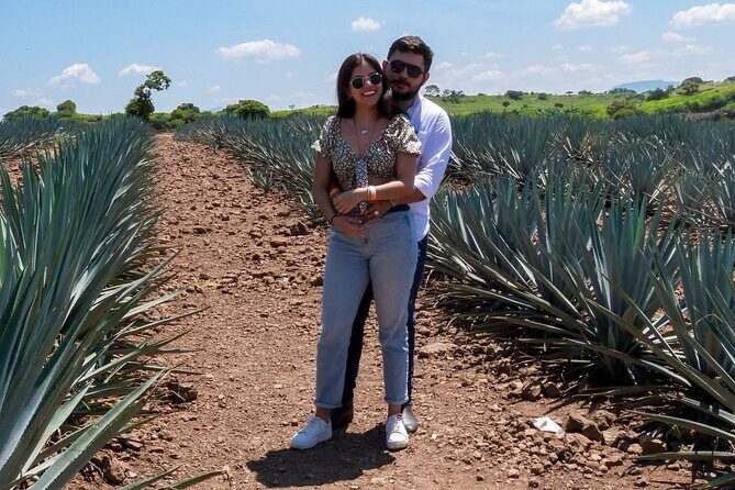 Tour and Tequila Tasting - The Itinerary in Detail: What You’ll Experience