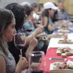Tour+ Cata 3 vinos / Tour + 3 wine tasting - A Deep Dive into the Experience