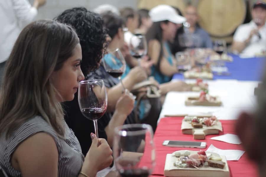 Tour+ Cata 3 vinos / Tour + 3 wine tasting - A Deep Dive into the Experience