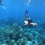 Tour Cozumel Island + Snorkel + Beach + Buggy + Lunch - FAQ
