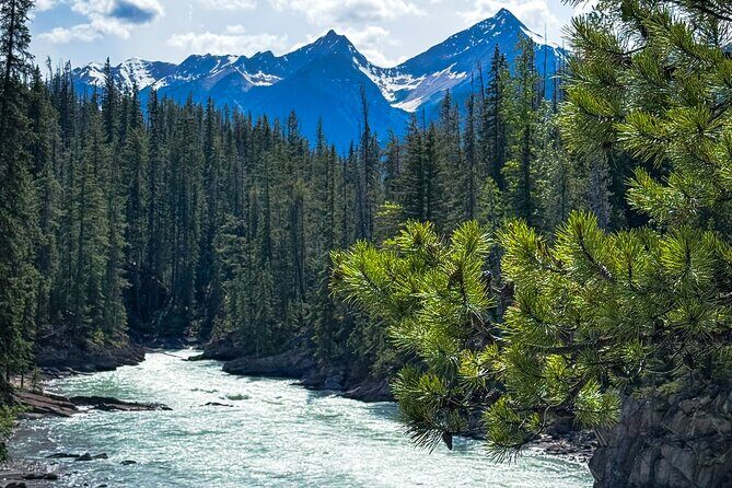 Tour Experience in Banff and Yoho National Parks - Who Is This Tour Best For?