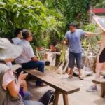 Tour from Mérida to Campeche: Jipijapa hat, history, regional food. - Why This Tour Offers Great Value