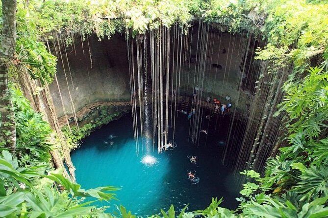 Tour to Pink Lake and Rio Lagartos from Cancun - The Sum Up