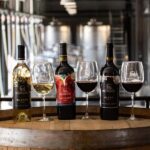 Tour & Wine Tasting at Viñedo San Miguel / San Bartolo Experience - A Closer Look at the Tour Experience