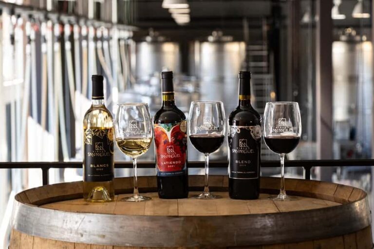 Tour & Wine Tasting at Viñedo San Miguel / San Bartolo Experience - A Closer Look at the Tour Experience