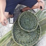 Traditional Palm Weaving Workshop with Food and Drinks in Tulum - Who Will Love This Workshop?