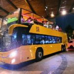 Transfers on Party Bus from Costa Mujeres to Cancun - Why This Tour Works for You