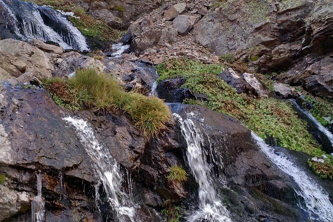 Trekking day in The Andes (from Mendoza) - Pricing and Value