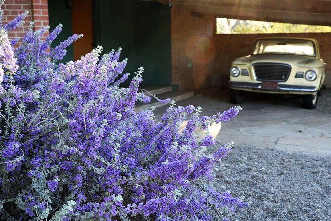 True Crime Walking Tour in Tucson's Historic Blenman-Elm - Who Will Enjoy This Tour?