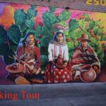 Tucson's Barrio Viejo Walking Tour - Why It Matters