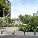 Tuk Tuk Tour of Rome and Condesa on CDMX - A Deep Dive into the Tuk Tuk Experience in CDMX