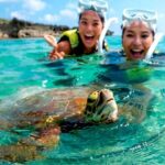 Tulum : Cenote Swim & Turtle Tour with Ruins Visit & Buffette - Practical Details and What to Expect
