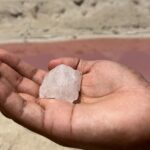 Tulum Las Coloradas and Rio Lagartos Pink Lagoon and Flamingos - Río Lagartos: Wildlife and Wetlands