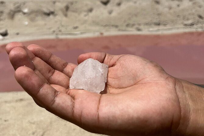Tulum Las Coloradas and Rio Lagartos Pink Lagoon and Flamingos - Río Lagartos: Wildlife and Wetlands