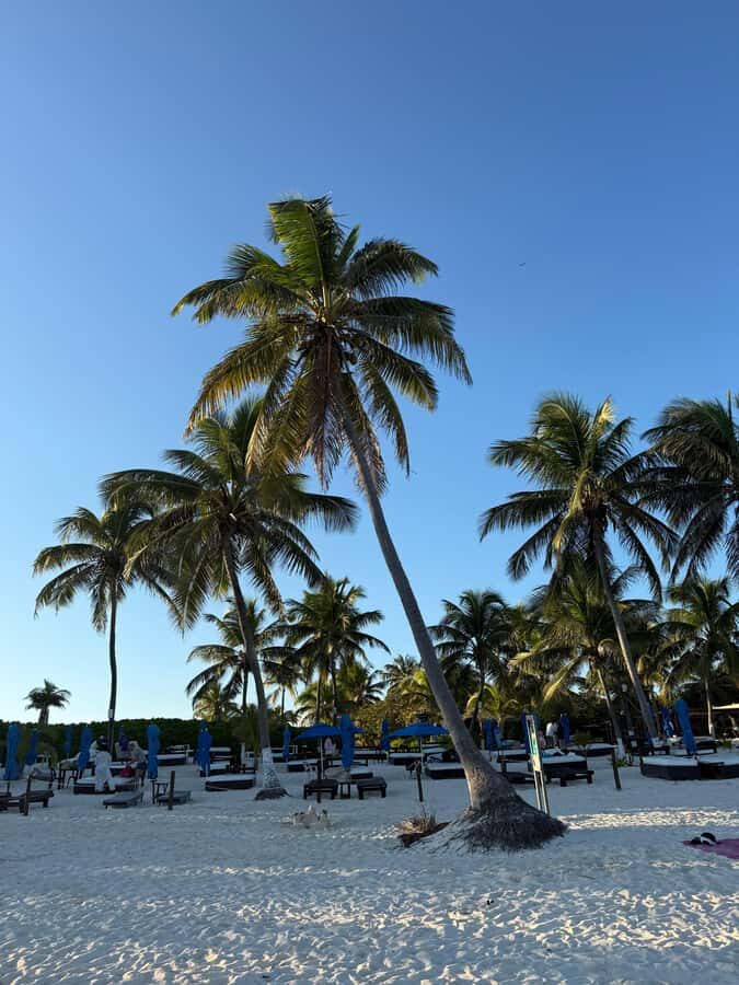 Tulum: Private Beach Photo and Video Session - An In-Depth Look at the Tulum Beach Photo and Video Tour