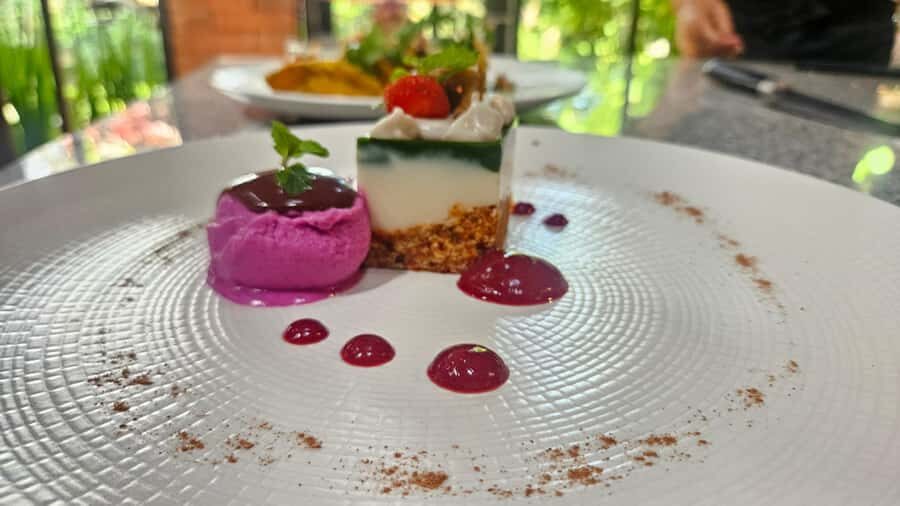 Tulum: Raw Foods Cooking Class Plant Based Cuisine - The Value of the Experience