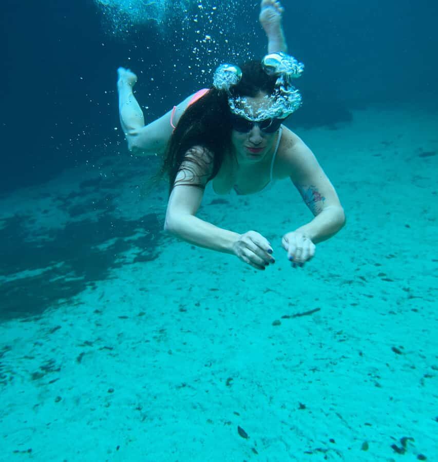 Tulum: Snorkel at the Cenotes and Underground Rivers - Practical Details and Value