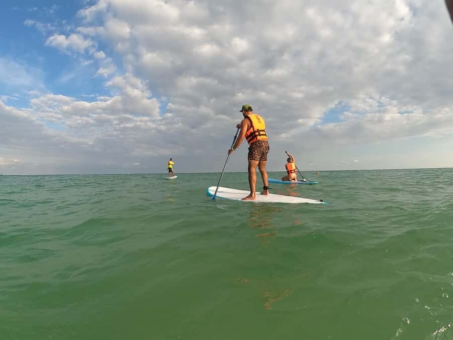 Tulum Stand-Up Paddleboard Tour - Authentic Experiences and Traveler Insights