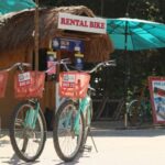 Tulum: Tulum National Park Guided Bike Tour - Who Is This Tour Best For?