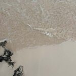 Tulum: Tulum Ruins and Sea Turtle Snorkeling Tour - Snorkeling with Sea Turtles: A Natural Encounter