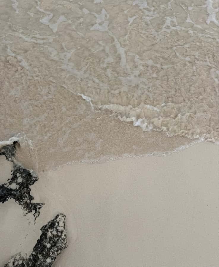 Tulum: Tulum Ruins and Sea Turtle Snorkeling Tour - Snorkeling with Sea Turtles: A Natural Encounter