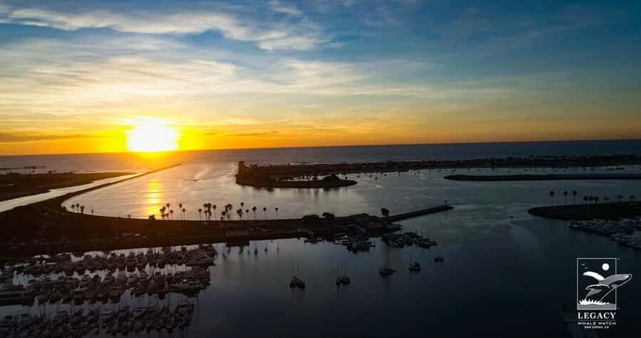 Twilight Tour with San Diego Natural History Museum Whalers - Final Thoughts: Who Is This Tour Best For?