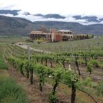 Two Day Private Wine and Bike Tour Vancouver to Kelowna - Practical Details and What It Means for You