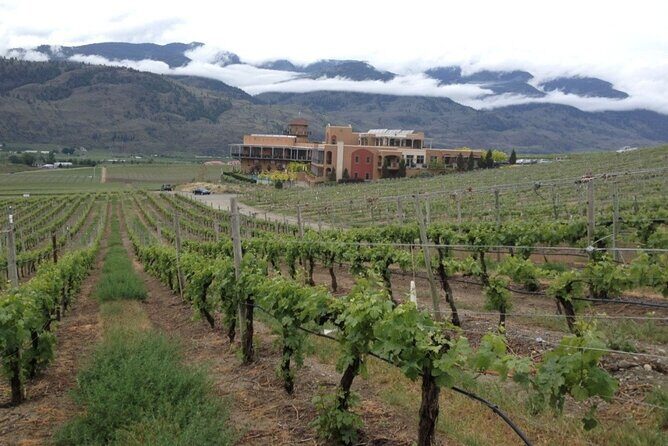 Two Day Private Wine and Bike Tour Vancouver to Kelowna - Practical Details and What It Means for You