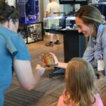 Tybee Island Marine Science Center Entry Ticket - An In-Depth Look at the Tybee Island Marine Science Center Experience