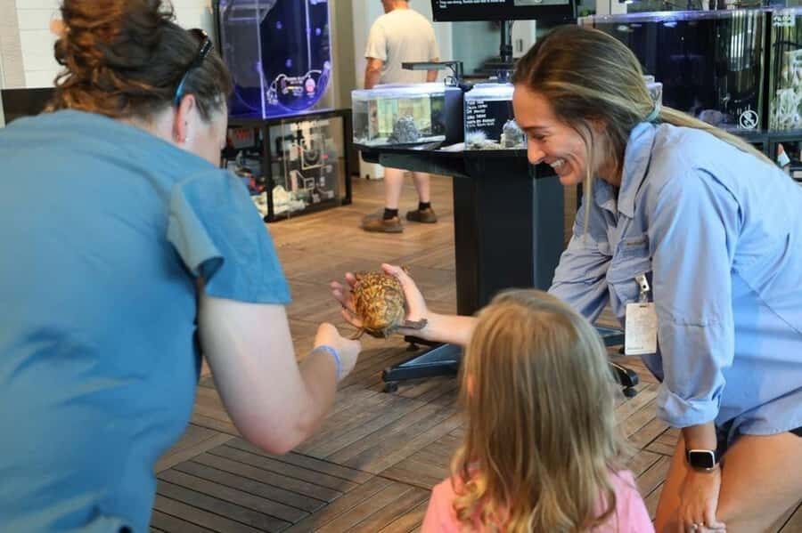 Tybee Island Marine Science Center Entry Ticket - An In-Depth Look at the Tybee Island Marine Science Center Experience