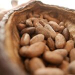 Ultimate Chocolate Tour in Montreal with Included Tastings - Walking and tasting in Montreal’s vibrant Mile End