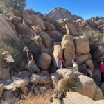 Ultimate Joshua Tree National Park Private Group Adventure - Final Thoughts