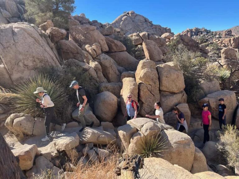 Ultimate Joshua Tree National Park Private Group Adventure - Final Thoughts