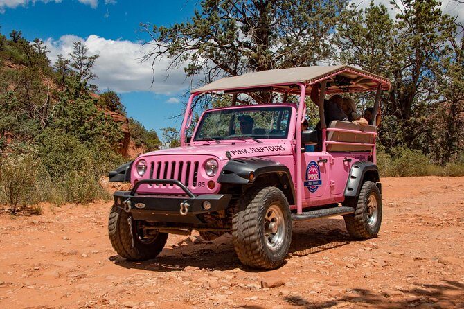 Ultimate Scenic Rim Adventure - Who Would Love This Tour?