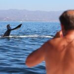 Ultimate Whale Watching Experience All-Inclusive - FAQs