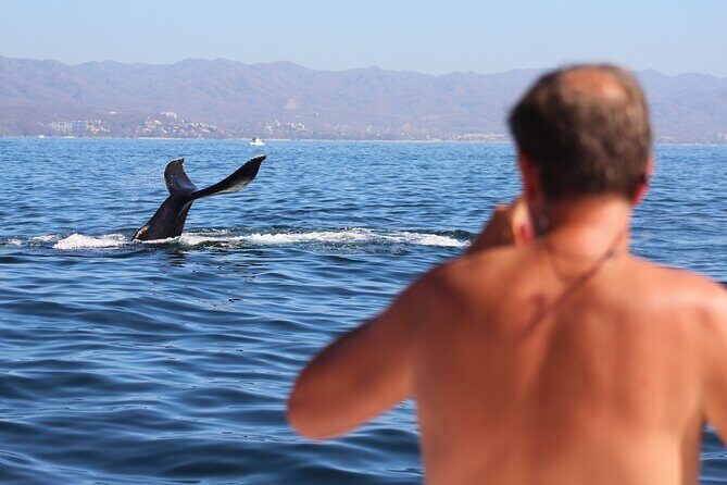 Ultimate Whale Watching Experience All-Inclusive - FAQs