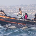 Ultimate Whale Watching Tour aboard the SuperRib: 24 People Max - FAQ