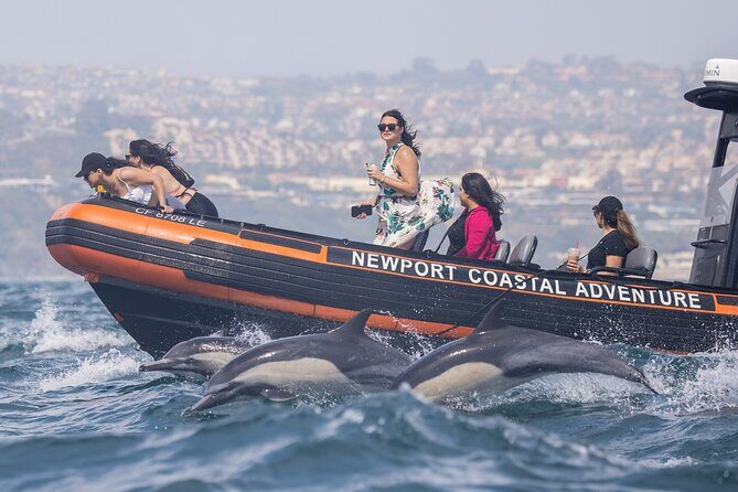 Ultimate Whale Watching Tour aboard the SuperRib: 24 People Max - FAQ