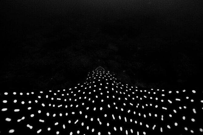 Underwater Photo Shoot - What’s Included and How You Benefit