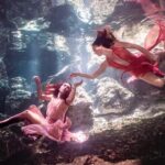 Underwater Photography Experience in Mexico's Sacred Cenotes - Exploring Mexico’s Sacred Cenotes Through a Different Lens