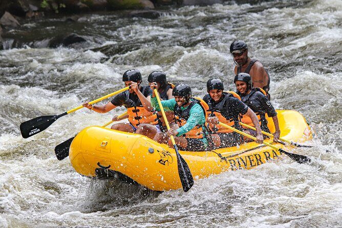 Upper Pigeon Rafting Adventure - Why This Tour Works for You