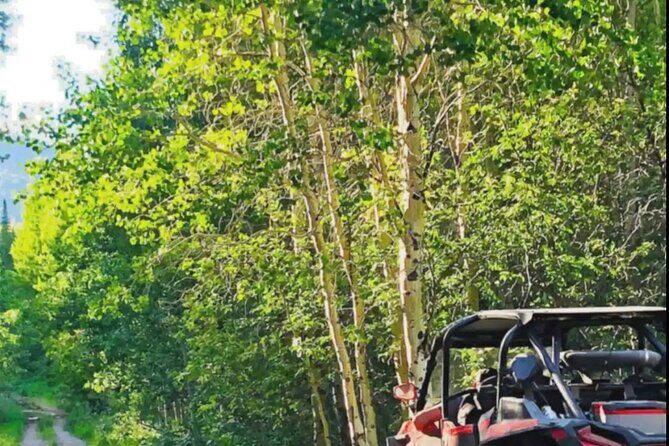 UTV Tour of Big Springs, Flats, and Sawtell Peak - Who Should Consider This Tour?